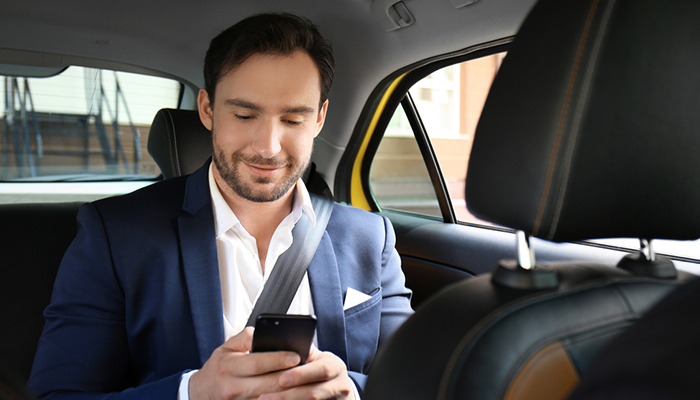 chauffeur particulier Lambersart